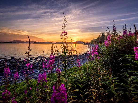Sitka